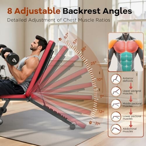 Man using adjustable weight bench with 8 backrest positions for muscle workout.