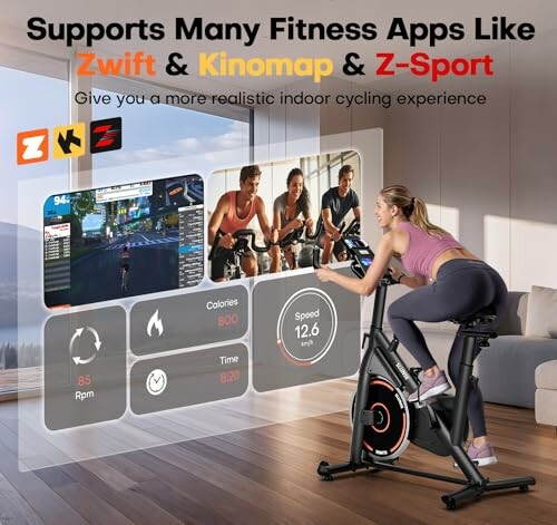 SLUNSE Adjustable Magnetic Resistance Exercise Bike